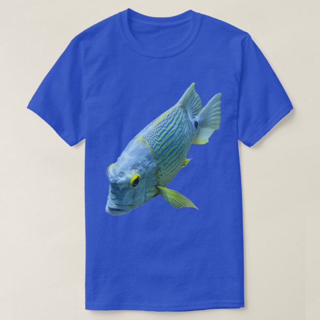 Blue and Yellow Fish T-Shirt (Design Front)