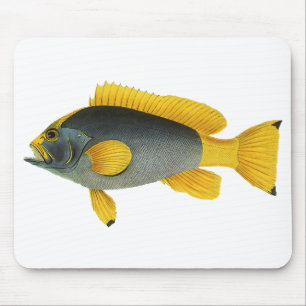 Blue and Yellow Grouper Fish, Vintage Marine Life Mouse Pad