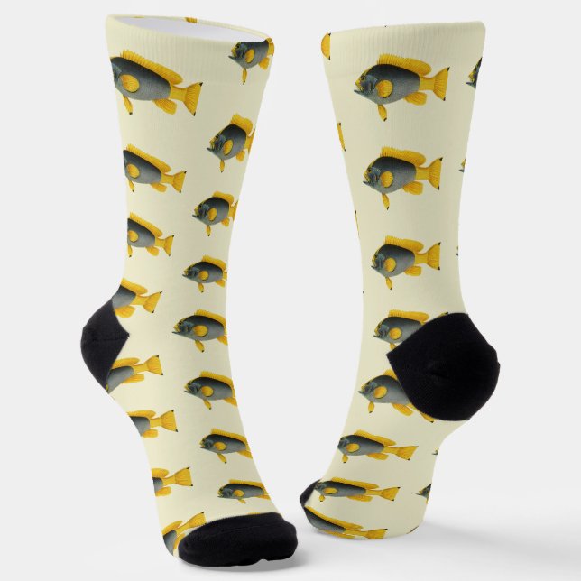 Blue and Yellow Grouper Fish, Vintage Marine Life Socks (Angled)