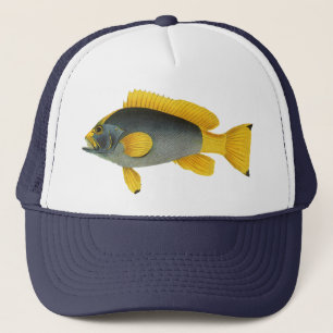 Blue and Yellow Grouper Fish, Vintage Marine Life Trucker Hat