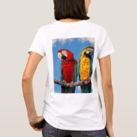 Blue and yellow macaw and a Scarlet macaw