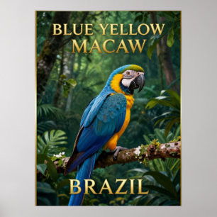 🦜 Blue-and-Yellow Macaw Brazilian Rainforest Poster