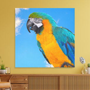 Blue and yellow macaw canvas print