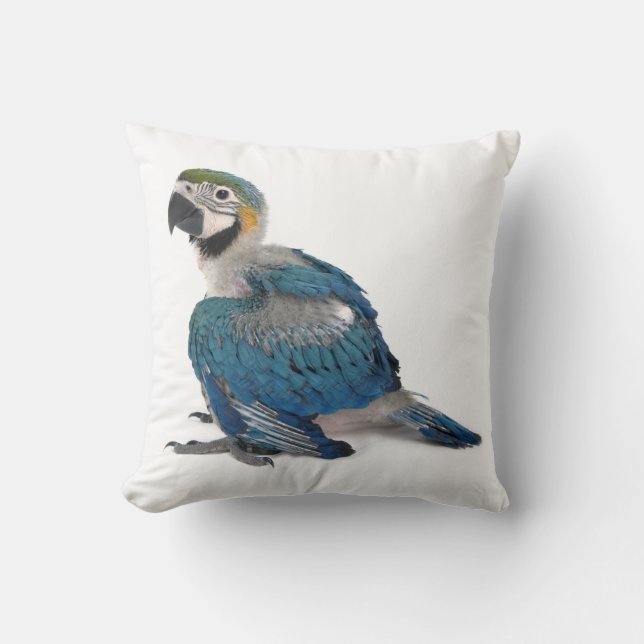 Blue and yellow Macaw Cushion (Front)
