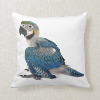 Blue and yellow Macaw Cushion
