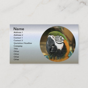 Blue and Yellow Macaw from Amazon Business Card