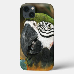 Blue and Yellow Macaw from Amazon iPhone 13 Case