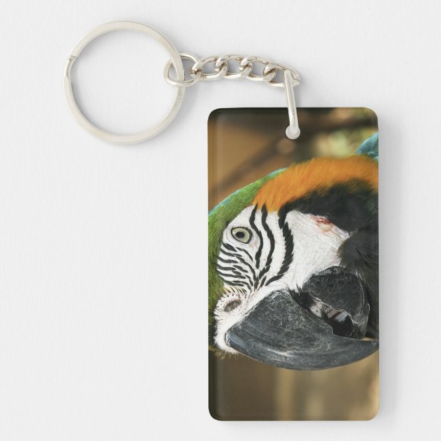Blue and Yellow Macaw from Amazon Key Ring (Front)