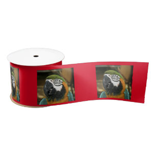 Blue and Yellow Macaw from Amazon Satin Ribbon