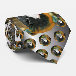Blue and Yellow Macaw from Amazon Tie