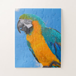 Blue and yellow macaw jigsaw puzzle