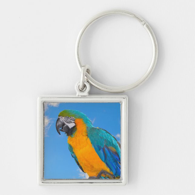 Blue and yellow macaw  key ring (Front)