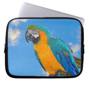 Blue and yellow macaw laptop sleeve