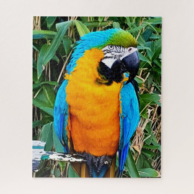 Blue and Yellow Macaw Parrot Jigsaw Puzzle (Vertical)
