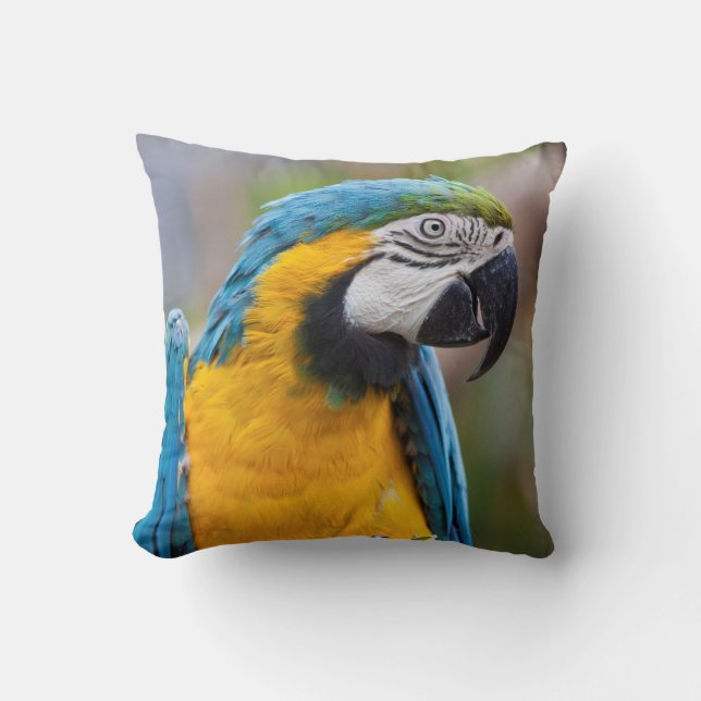Blue and Yellow Macaw Pillow (Front)
