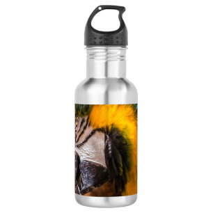 Blue and yellow macaw portrait 532 ml water bottle