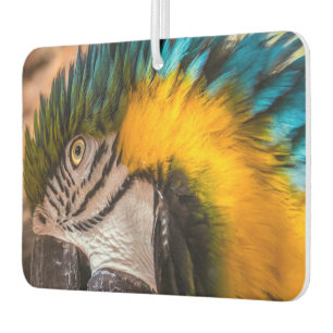 Blue and yellow macaw portrait car air freshener