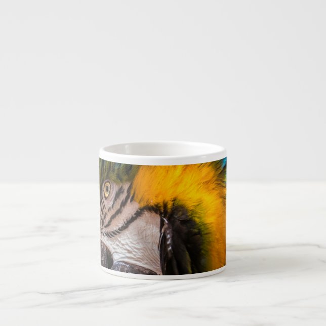 Blue and yellow macaw portrait espresso cup (Front)