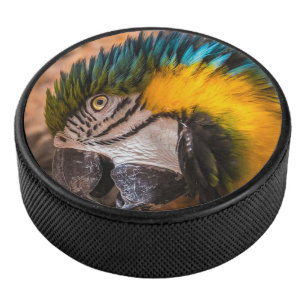 Blue and yellow macaw portrait hockey puck