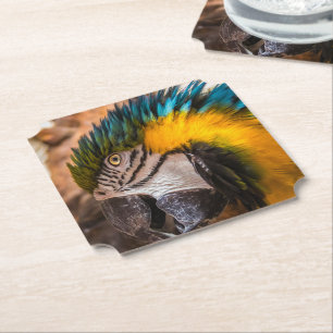 Blue and yellow macaw portrait paper coaster