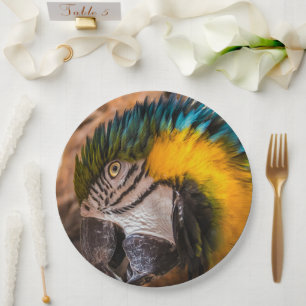 Blue and yellow macaw portrait paper plate