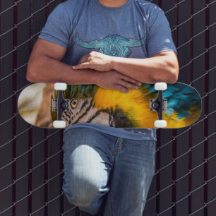 Blue and yellow macaw portrait skateboard