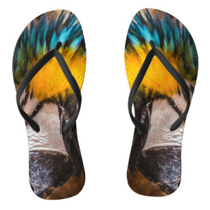 Blue and yellow macaw portrait thongs