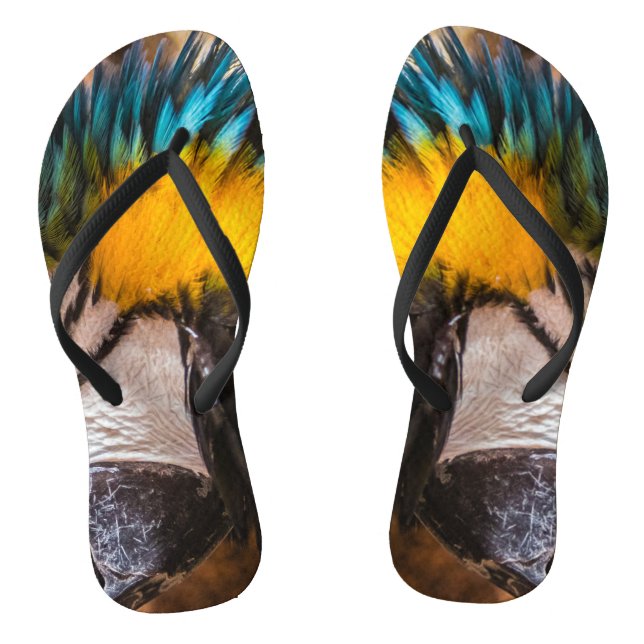 Blue and yellow macaw portrait thongs (Footbed)