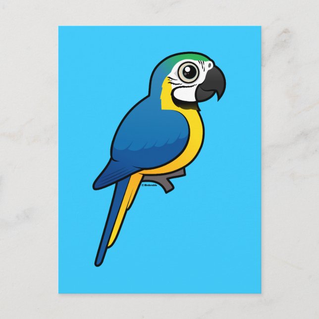 Blue-and-yellow Macaw Postcard (Front)