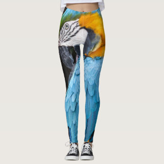 Blue And Yellow Macaw Preening Leggings