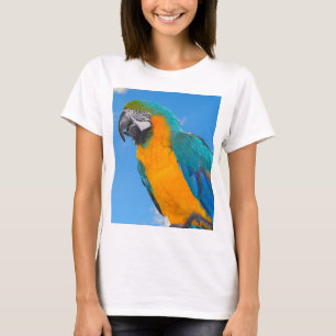 Blue and yellow macaw T-Shirt