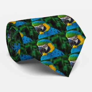 Blue-and-yellow Macaw Tie