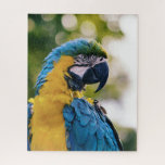 Blue-and-Yellow Macaw Tropical Parrot Jigsaw Puzzle<br><div class="desc">Celebrate the dazzling beauty of the blue-and-yellow macaw with this stunning puzzle. Featuring the vibrant feathers and intelligent gaze of one of the world’s most beloved tropical parrots, this design is perfect for wildlife enthusiasts and puzzle lovers alike. Known for their striking blue and yellow plumage, macaws are a symbol...</div>