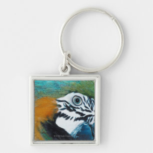 Blue-and-yellow MacawÊ Key Ring
