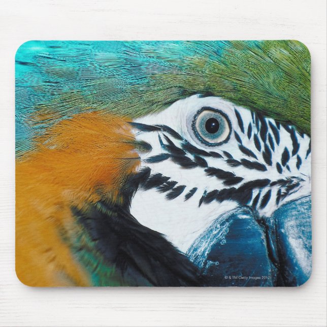 Blue-and-yellow MacawÊ Mouse Pad (Front)