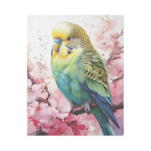 Blue and Yellow Parakeet and Cherry Bossoms