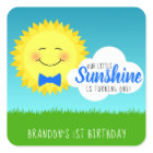 Blue and Yellow Sunshine Birthday Party