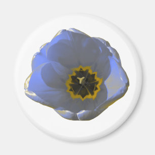 Blue and Yellow Tulip Magnet