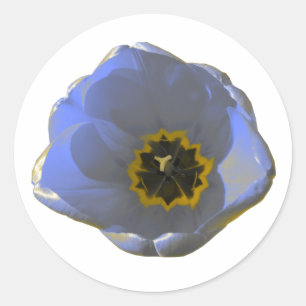 Blue and Yellow Tulip Round Stickers