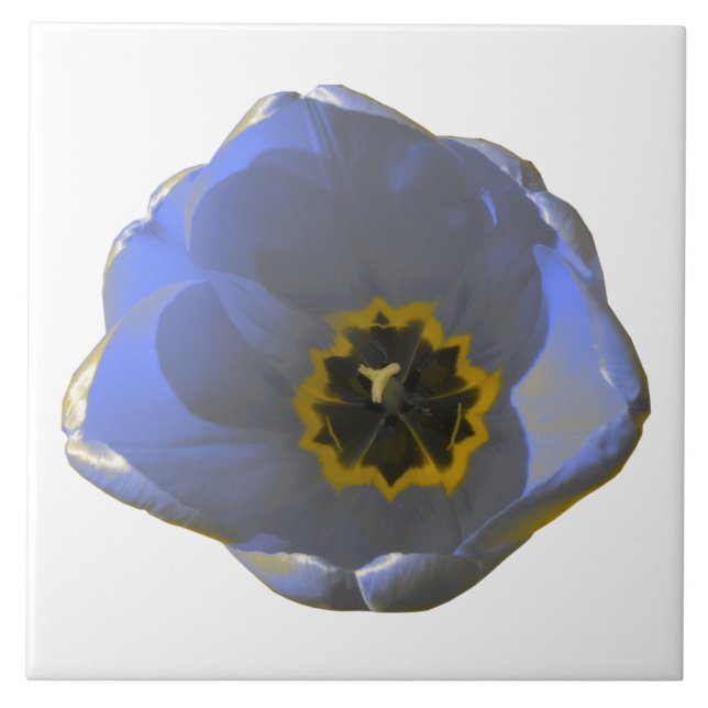 Blue and Yellow Tulip Tile (Front)