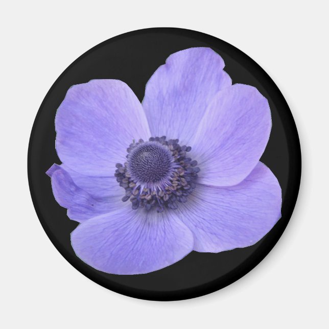 Blue Anemone Flower Magnet (Front)