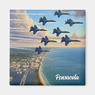 Blue Angels at Pensacola Florida Magnet