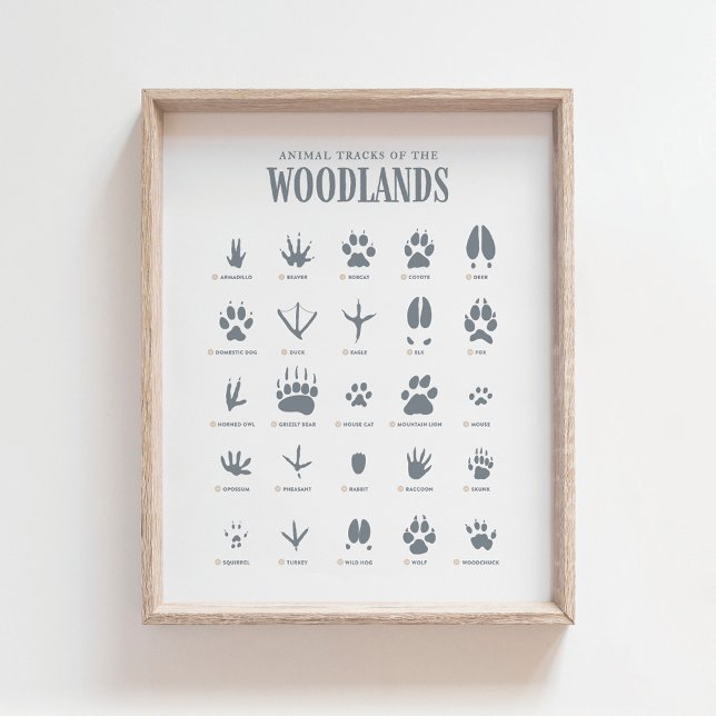 Blue Animal Tracks Woodland Nursery Decor (Creator Uploaded)