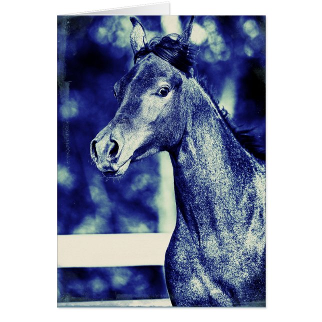 Blue Arabian Digital Art (Front)