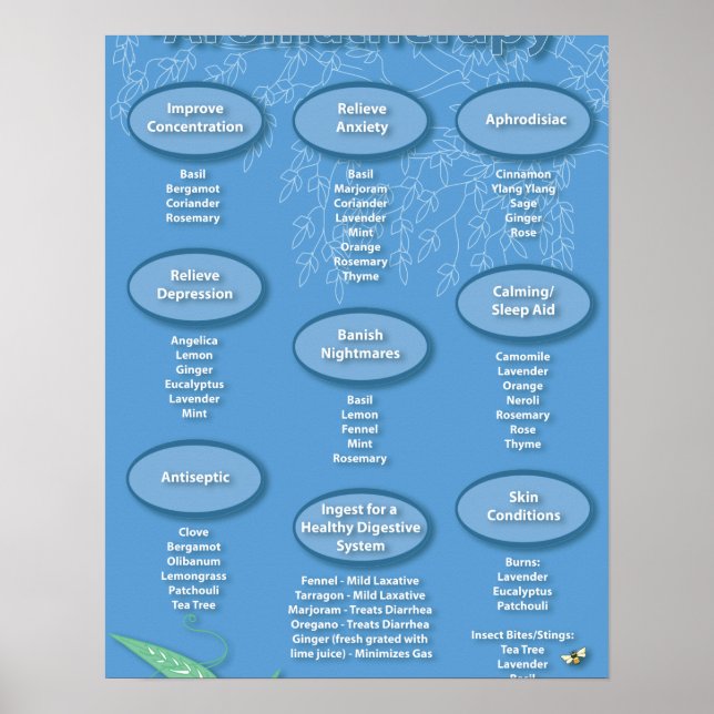 Blue Aromatherapy Chart Poster (Front)