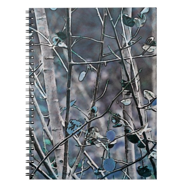 Blue Aspen Notebook (Front)