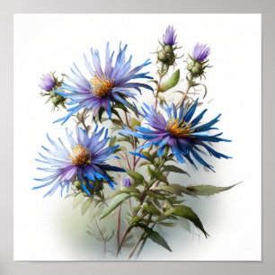 Blue Aster Flower Art Print Poster