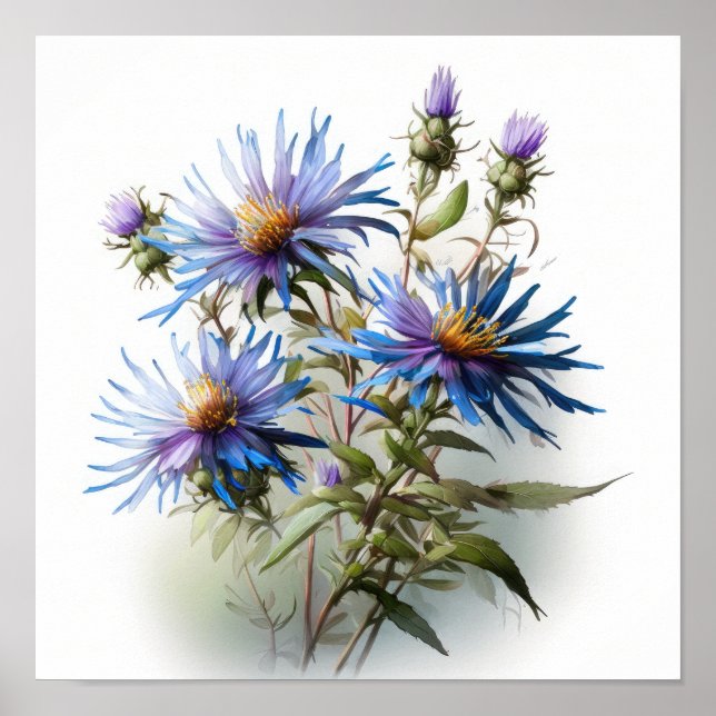 Blue Aster Flower Art Print Poster (Front)