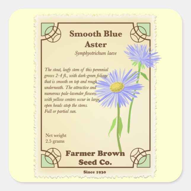 Blue Aster Seed Packet Square Sticker (Front)