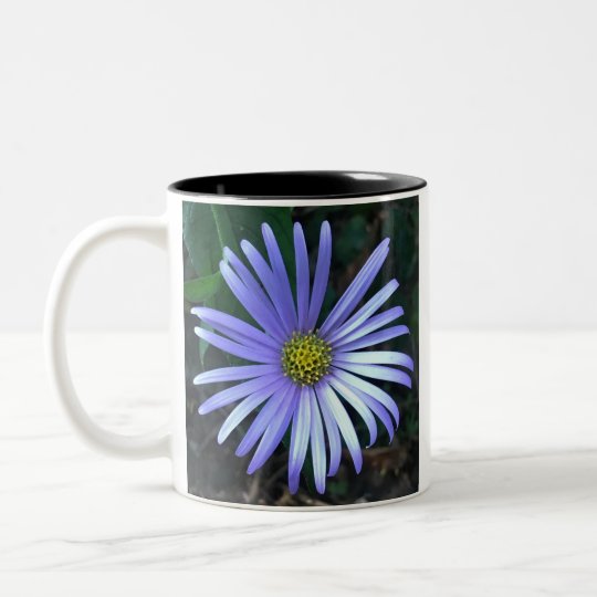 Blue Aster Two-Tone Coffee Mug
